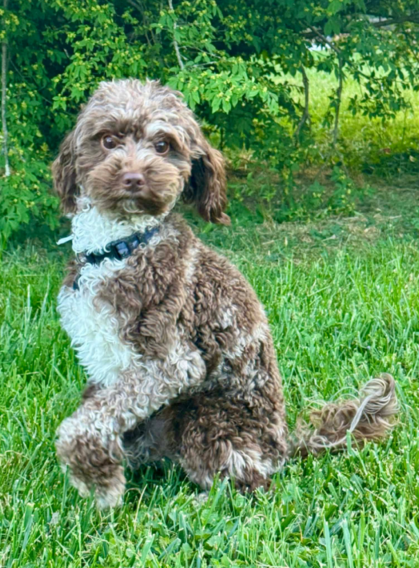 Sebastian